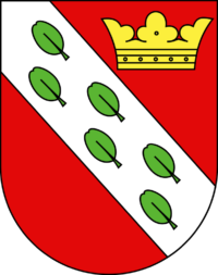 Das Wappen der Gemeinde Herzogenbuchsee ist rot mit einer gelben Krone darauf. Zudem ziert ein weisser diagonaler Streifen das Wappen mit sechs grünen Blättern darauf. - Peter Leuenberger AG ist Ihr Kaminfeger, Brandschutzfachmann und Heizungsreinigungs-Spezialist in der Region Herzogenbuchsee.